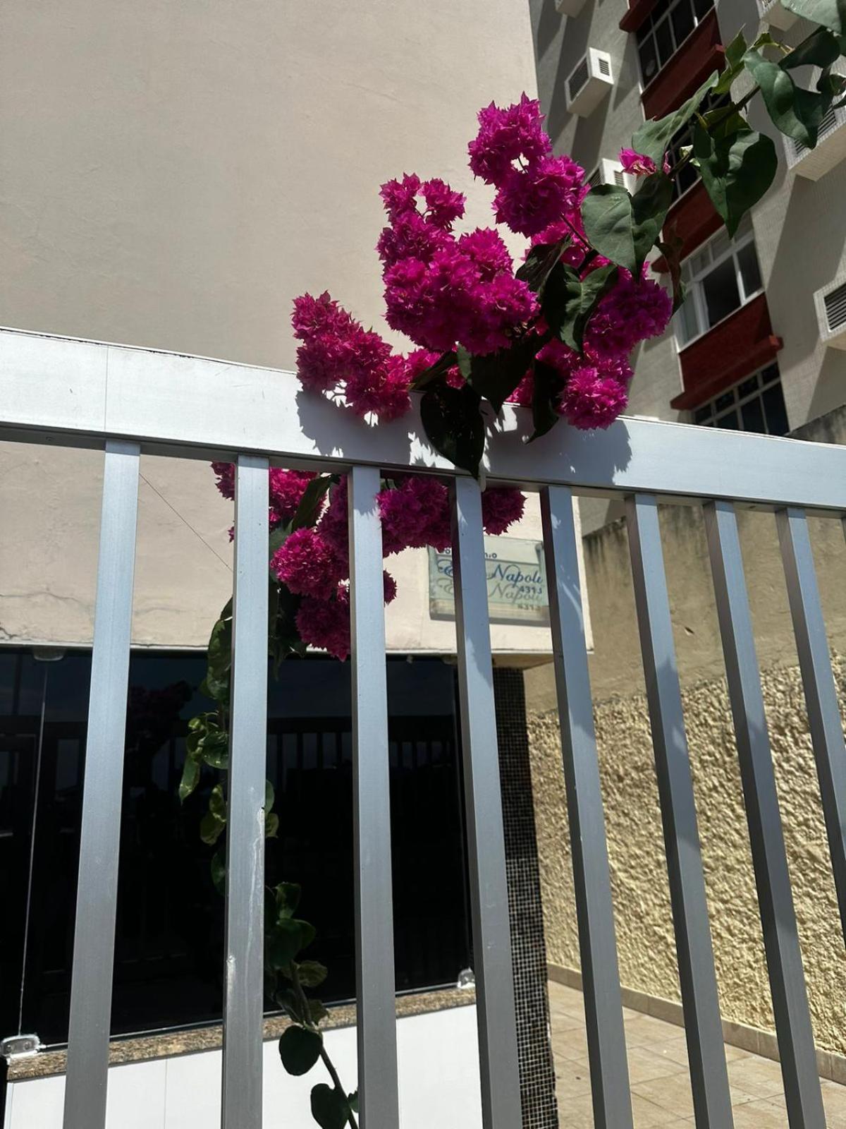 Apartamento Por Do Sol Farol Da Barra Ac